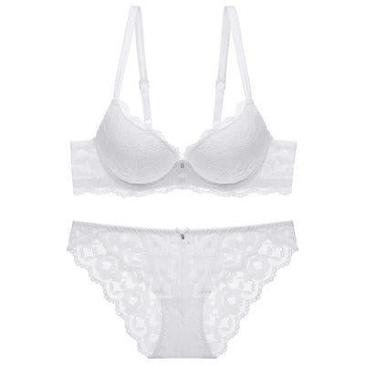 Sexy Bra and Knicker Sets Sheer See Through Lingerie for Women 2 Piece Lace Underwear Panties