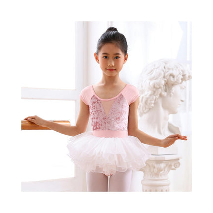 2 Pack Ballet Leotard for Girls Toddler Ballet with Skirt Dance Dress Short Sleeve Tutu