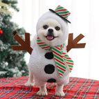 Standing White Snowman Costume / S (Pets up to 2.5 kg)