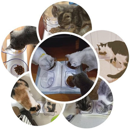 Cat Food Bowl, Double Food Water Dish Feeding Bowls for Cats and Small Dogs with Raised Stand | Non-Slip Bottom - Transparent