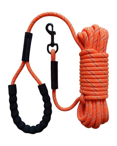 Collection image for: Dog Leash