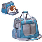 QS-008 / Sky Blue-Extended