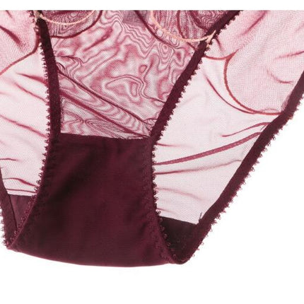 Women's Sexy Bow Thin Mesh Bra and Panty Set Two Piece Floral Lace Underwear Set