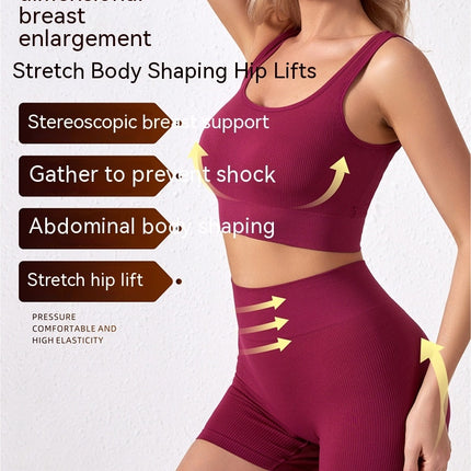 Women's Sportswear 2 Piece Seamless Ribbed High Waist Leggings with Bra Sports Set