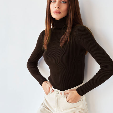 Turtleneck Sweater Women Solid Color Bottoming Shirt Slim High Collar Knitted Long Sleeved Top Pullover Sweaters