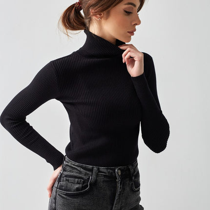 Turtleneck Sweater Women Solid Color Bottoming Shirt Slim High Collar Knitted Long Sleeved Top Pullover Sweaters