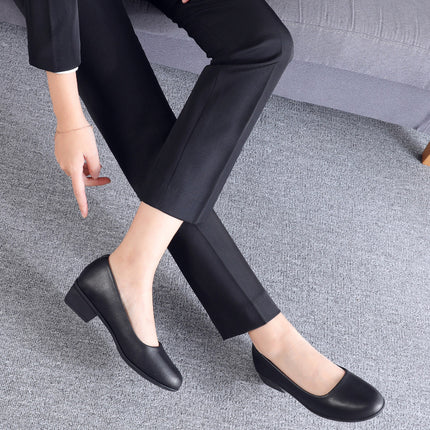 Low Block Heel Pumps for Women Round Closed Toe Chunky Heels Comfortable Dress Shoes