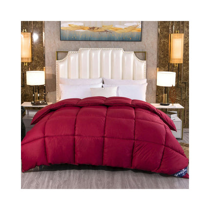 Comforter Queen Cotton Winter Duvet,Thick Warm Breathable Winter Quilt Comforter for Home