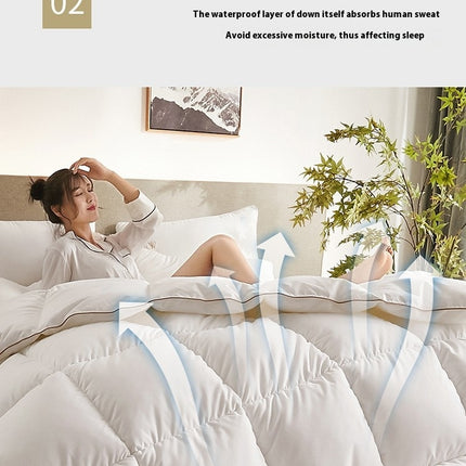 Comforter Queen Cotton Winter Duvet,Thick Warm Breathable Winter Quilt Comforter for Home 2