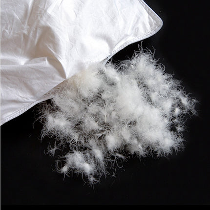 Winter Quilt Feather Goose Comforter Cotton Quilt Soft and Warm Duvet Quilt for All Season