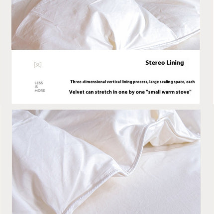 Winter Quilt Feather Goose Comforter Cotton Quilt Soft and Warm Duvet Quilt for All Season