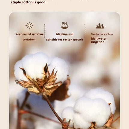 Quilt Comforter Warm Cotton Quilt Breathable Autumn and Winter Thickened Warm Quilt