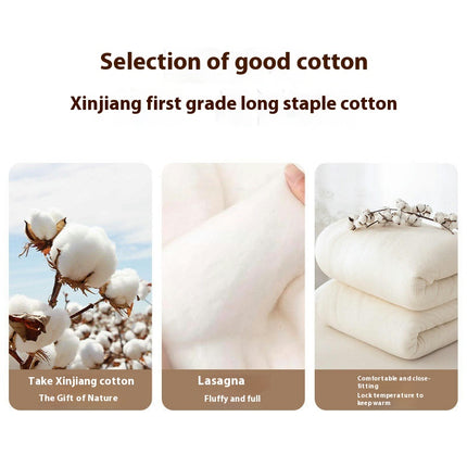 Quilt Comforter Warm Cotton Quilt Breathable Autumn and Winter Thickened Warm Quilt
