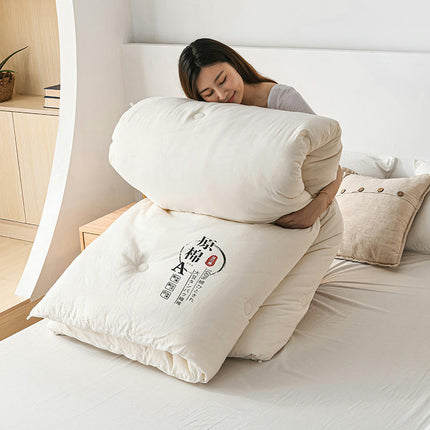 All Season Comforter Soft Queen Size Thick Comforter Alternative Comforter Winter Warm Quilts