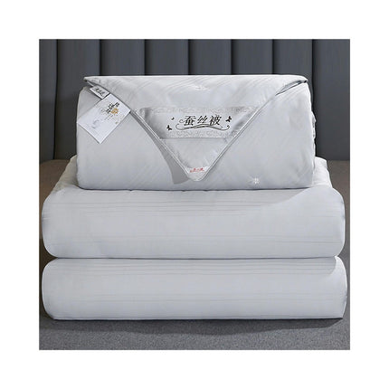 2-in-1 Double Quilt for All Season Warm Winter Cotton Quilt Comforter for Home Bedroom 2