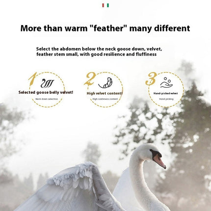 Warm Winter Comforter Cotton Quilted Down Comforter-Goose Down Feather Duvet Quilt For All Season