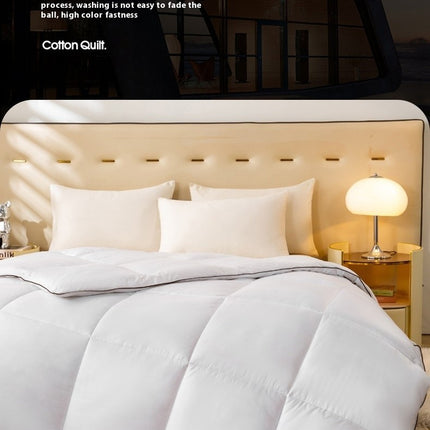 Warm Winter Comforter Cotton Quilted Down Comforter-Goose Down Feather Duvet Quilt For All Season