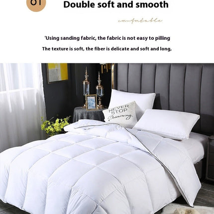 Down Quilt Winter Down Comforter Warm and Lightweight Cotton Quilt for All Seasons