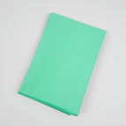 Mint Green OPP Bag