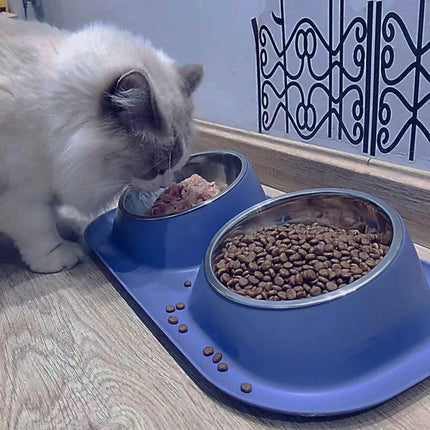 Stainless Steel Double Cat Dog Bowl Cat Food Container Non-slip Base Pet Water Feeder Tilt Safeguard Neck Puppy Cats Bowls