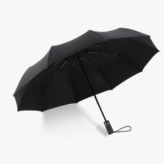 Collection image for: Umbrella