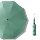 Bamboo Green