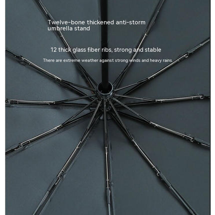 Windproof Lightweight Folding Portable Sun and Rain Umbrellas for Women Men UV Umbrella