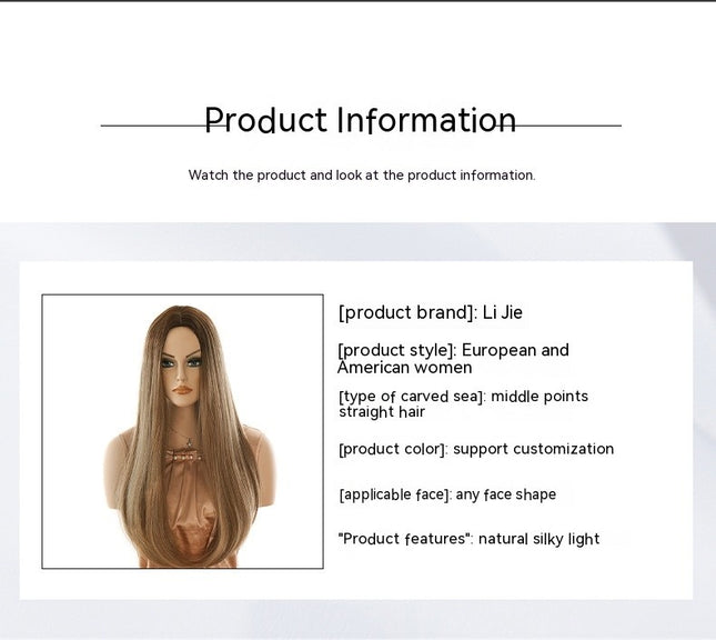 Lace Front Wigs Long Straight Hair Wigs for Women Synthetic Lace Front Wigs with Natural Hairline
