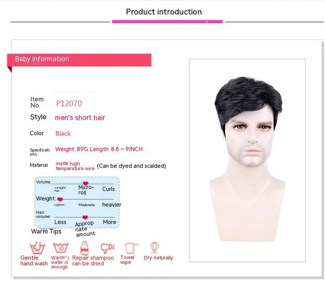 Natural Wigs for Men Daily Hair Wig Short Straight Synthetic Wigs with Hair Bangs for Men