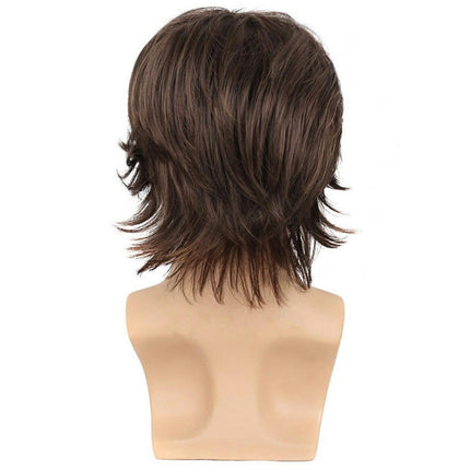 Brown Wigs for Men Short Curly Fluffy Cosplay Wig Layered Curly Wig Synthetic Wigs with Bangs