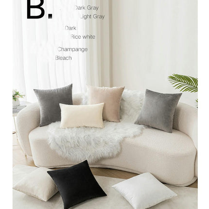 Throw Pillow Covers Decorative Velvet Pillow Covers, Soft Pillowcases for Couch Sofa Bed Living Room 2