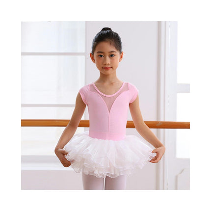 Ballet Leotards for Girls Toddler Leotard with Tutu Skirt Dance Tutu Dress (Little/Big Kid) 1