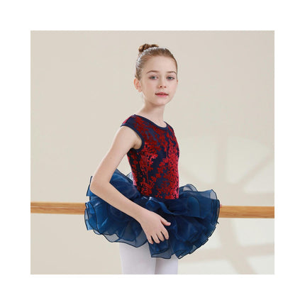 Big Kids Round Neck Jacquard Can Sleeve Dancewear Ballet Performance Costume 1