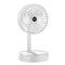 Small Table Fan