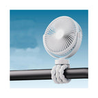 Fan Fan (White)