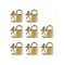 Luggage Locks