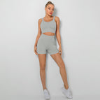 9289-light gray