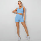 9289 -Sky blue