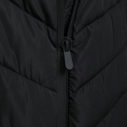 Women's Full-Zip Puffer Jacket Quilted Long Sleeve Winter Coat with Hood