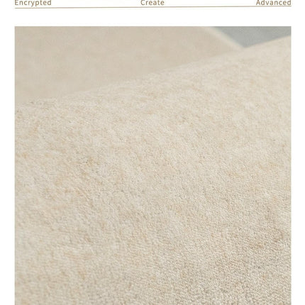Solid Color Area Rug Carpet Rugs for Living Room Modern Aesthetic Home Rug