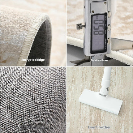 Solid Color Area Rug Carpet Rugs for Living Room Modern Aesthetic Home Rug