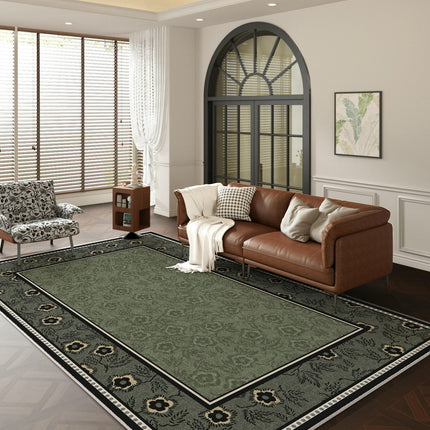 Irregular Shaped Rug Area Rug Living Room Rugs Indoor Carpets for Decor Large Floor Rugs