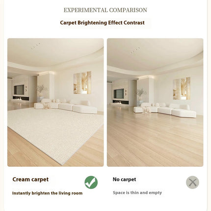 Modern Area Rugs Minimalist Rugs Modern Large Floor Rugs Carpet for Indoor Living Room