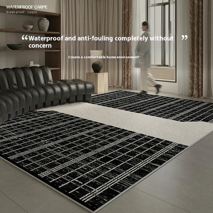 Modern Black and White Carpets Living Room Rug Large Floor Rugs Washable Indoor Floor Carpet