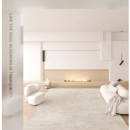 Modern Beige Decor Carpet Living Room Rug Large Floor Rugs Washable Indoor Floor Carpet