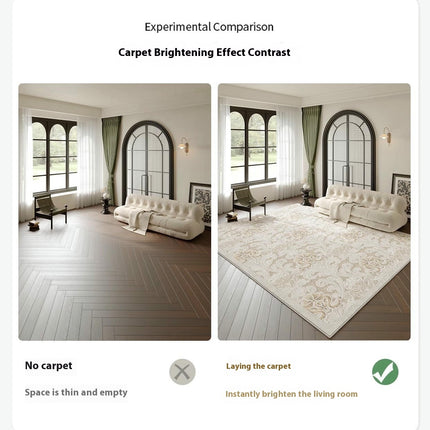 Light Luxury Modern Area Rug Washable Area Rugs Living Room Large Rugs Soft Floor Carpet