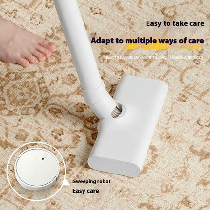 Light Luxury Modern Area Rug Washable Area Rugs Living Room Large Rugs Soft Floor Carpet