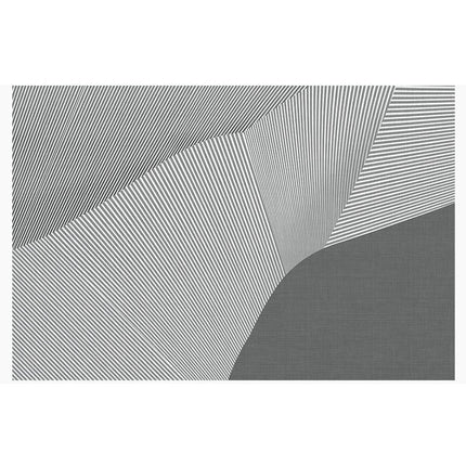 Lines Indoor Large Area Rugs, Machine Washable Carpet for Living Room Bedroom