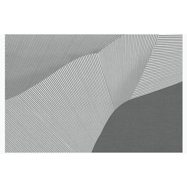 Lines Indoor Large Area Rugs, Machine Washable Carpet for Living Room Bedroom