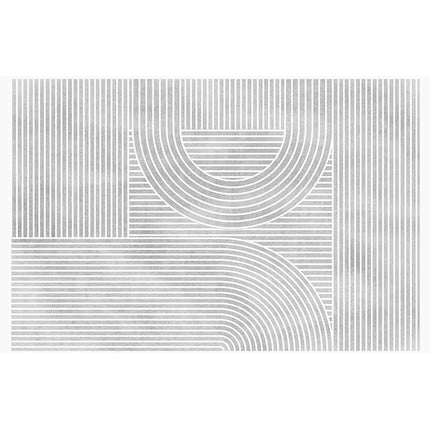 Lines Indoor Large Area Rugs, Machine Washable Carpet for Living Room Bedroom